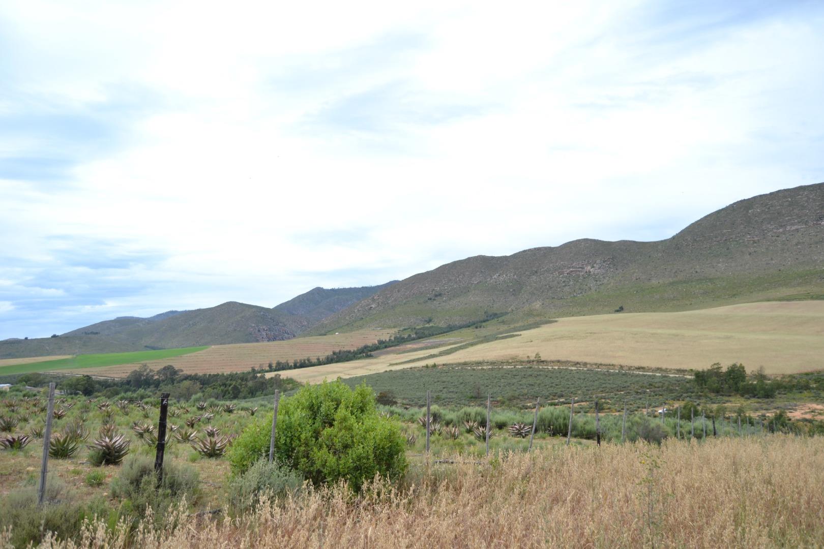 3 Bedroom Farm for Sale - Western Cape